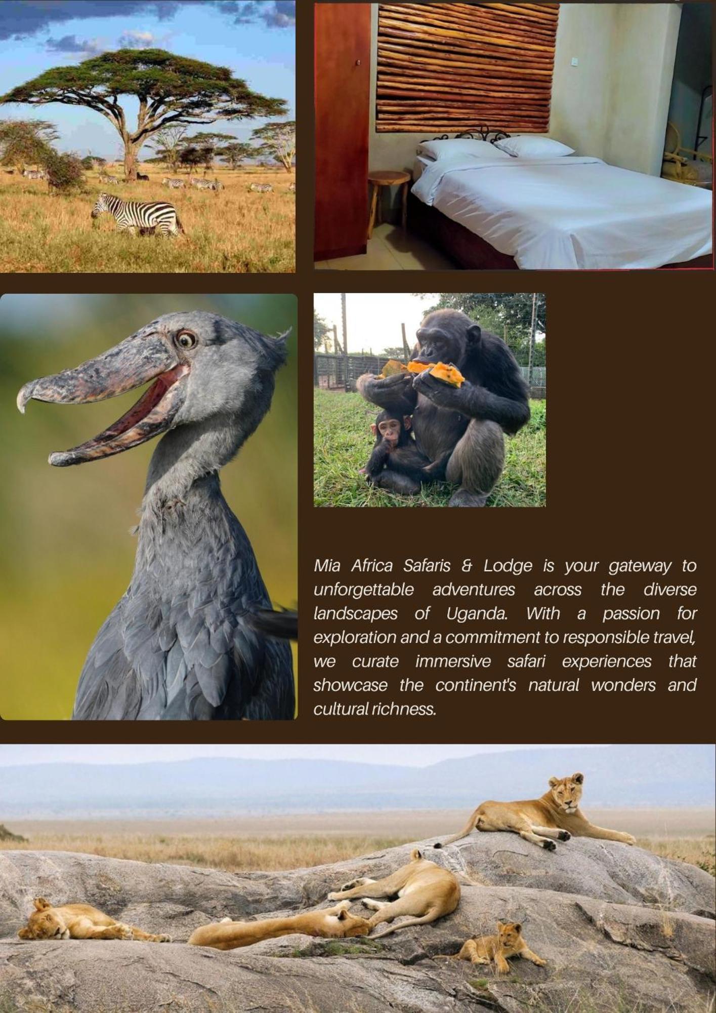 Mia Safari Lodge And Restaurant Εντέμπε Εξωτερικό φωτογραφία